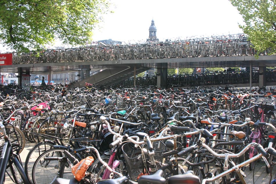 Fietsen-Amsterdam.jpg